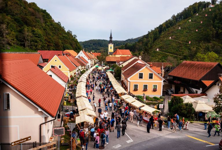 praznik kozjanskega jabolka 2.JPG