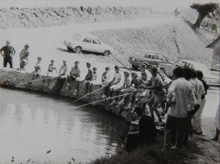p38.JPG