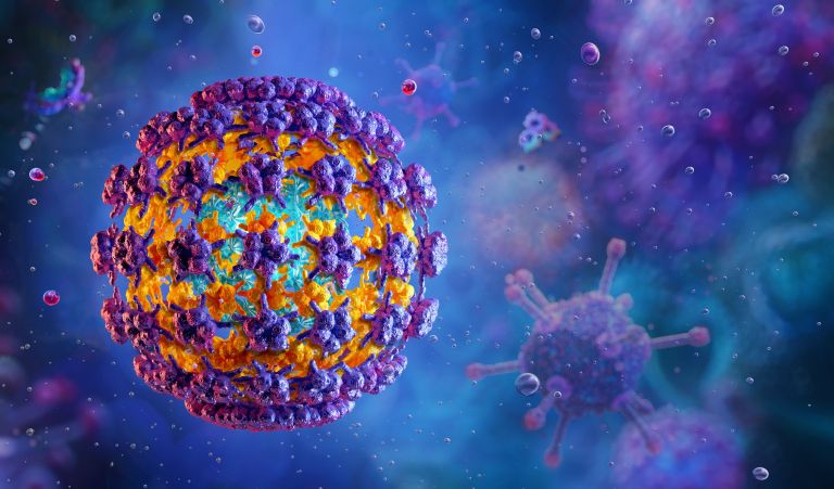 virus3.jpg
