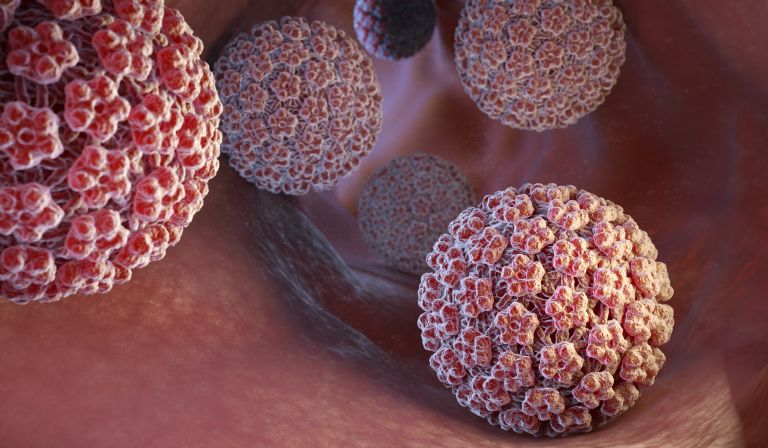 virus.jpg