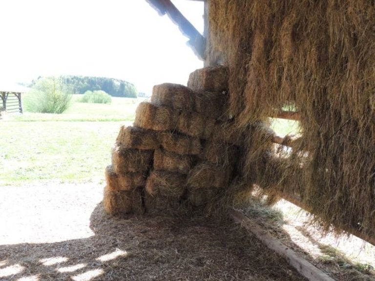 kozolec krma.jpg