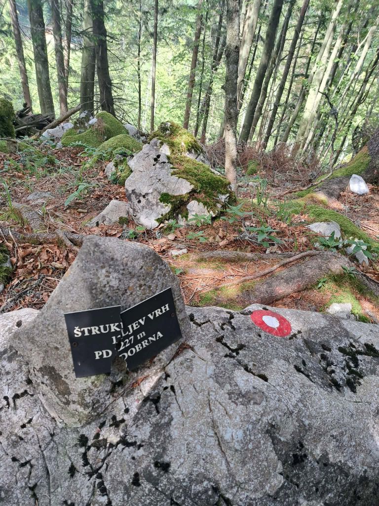 Štrukljev vrh Dobrna.jpg