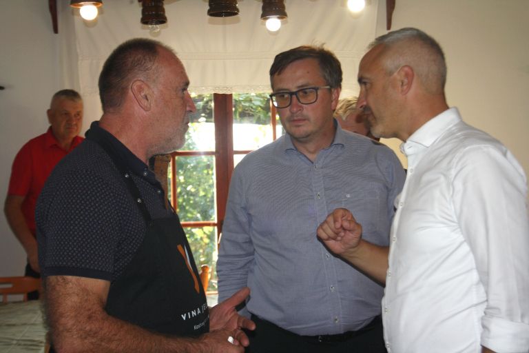minister-cigled-kralj, vinogradniki, sofinanciranje, zlata-trsna-rumenica, kraljevina, kmet