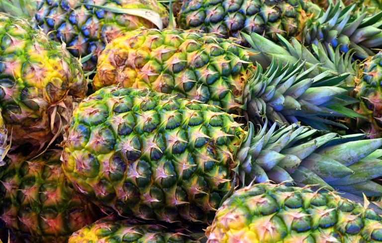 matthiasboeckel-pineapple-3413953.jpg