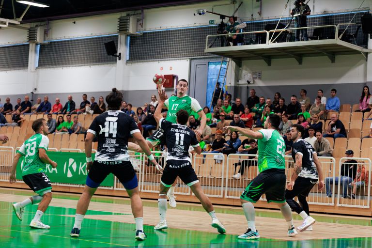 MRK Krka RK Slovenj Gradec