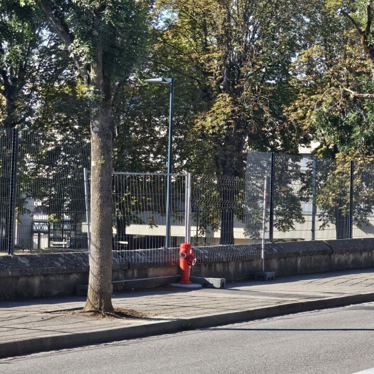 francija, protesti, dijaki