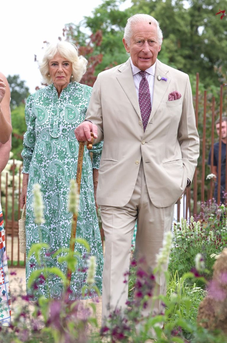 kralj Karel, kraljica Camilla