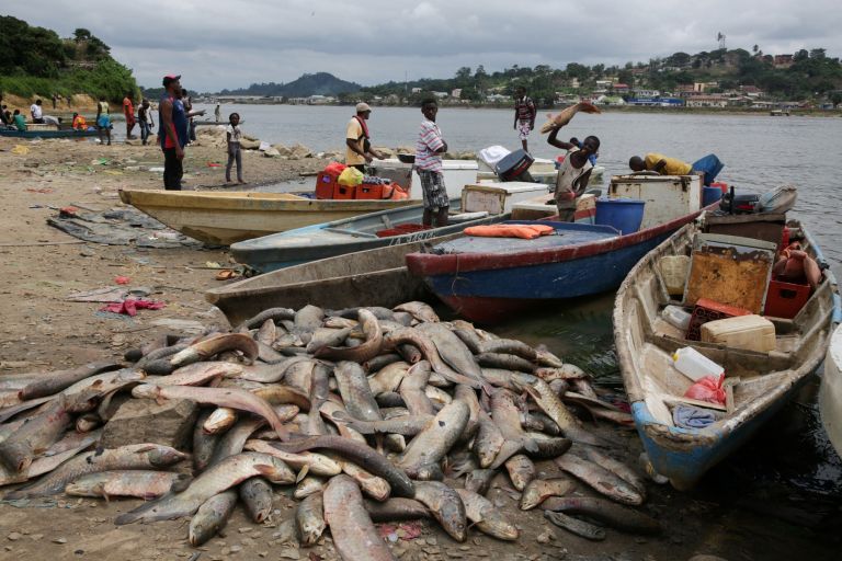 matt-shirley, krokodili, gabon, raziskovanje, afrika, evolucija