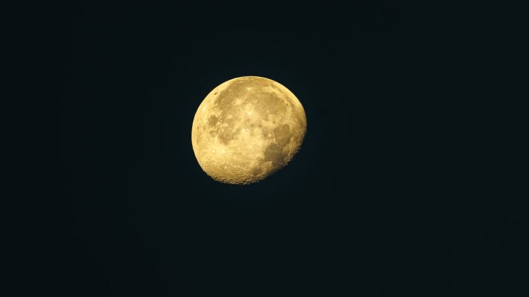 pexels-rperucho-10157045.jpg