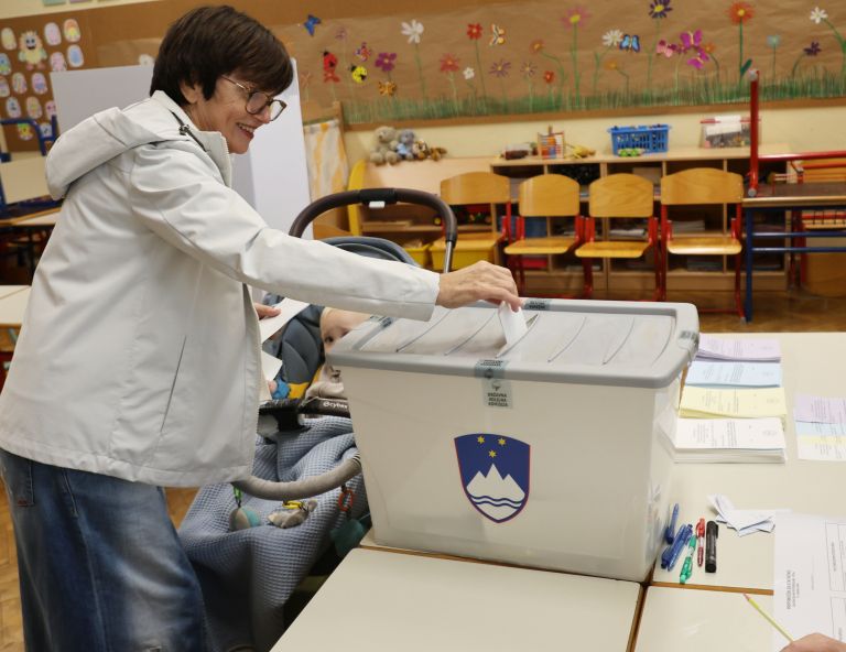 referendum, denarna-socialna-pomoc, parlamentarna-preiskovalna-komisija, tujci-volilna-pravica, rtv-prispevek