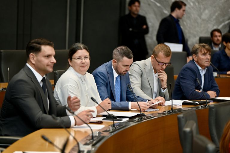 resnica poslanska skupina