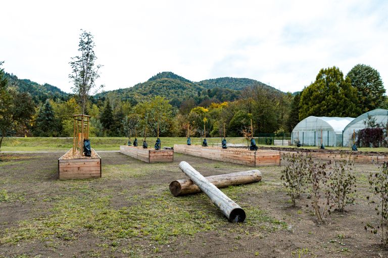 Drevesni_park24.jpg