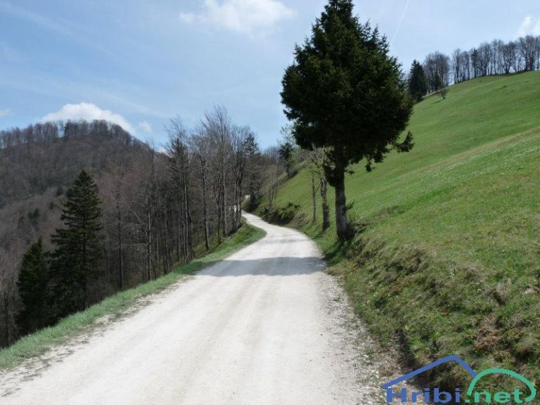 Mrzlica Kriška planina.jpg
