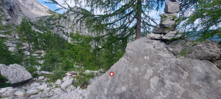 markacisti, pgd-celje-matica