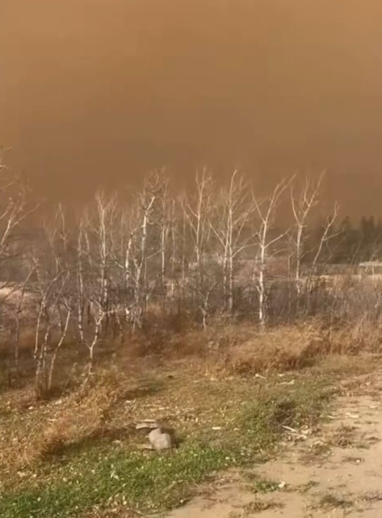 alberta.jpg.png