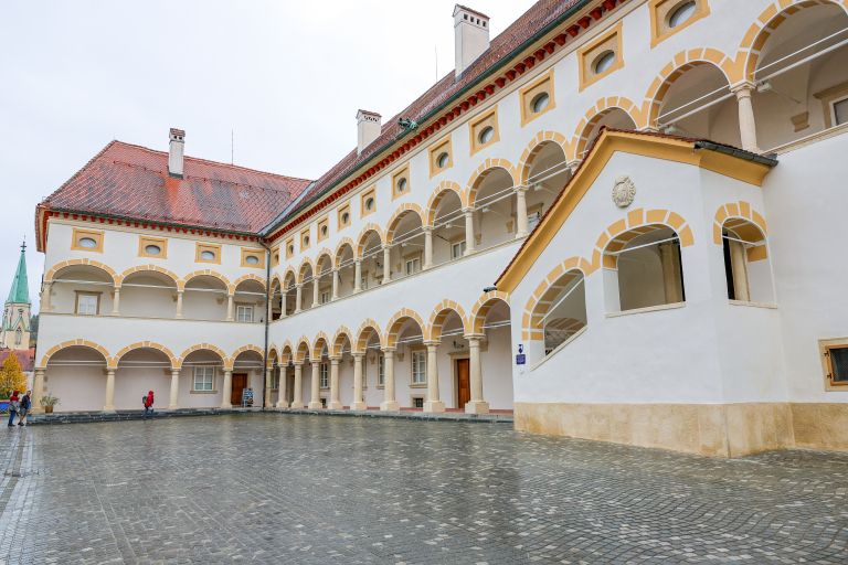 stara-grofija, celje, pokrajinski-muzej, kultura, celjski-strop