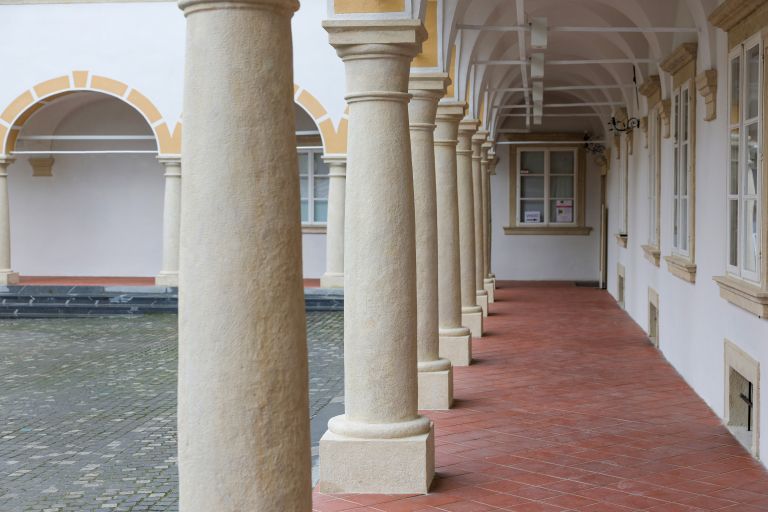 stara-grofija, celje, pokrajinski-muzej, kultura, celjski-strop