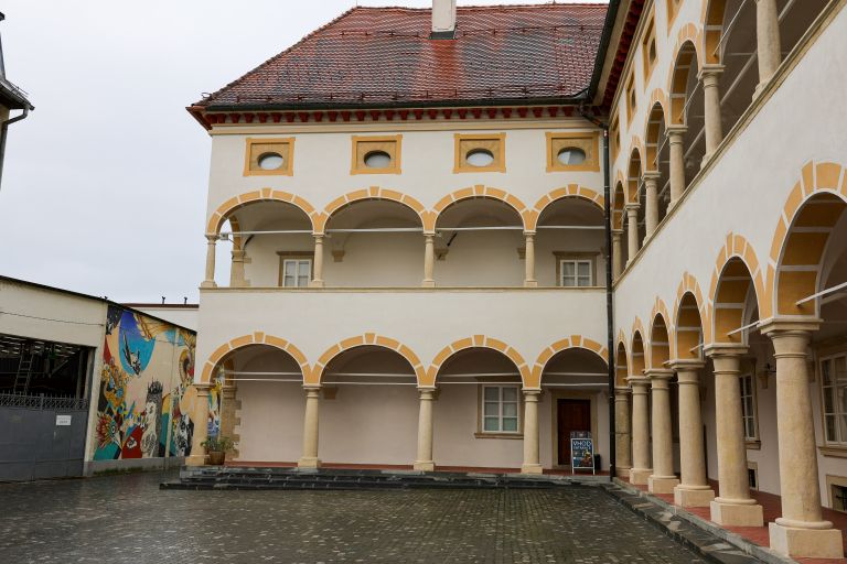 stara-grofija, celje, pokrajinski-muzej, kultura, celjski-strop