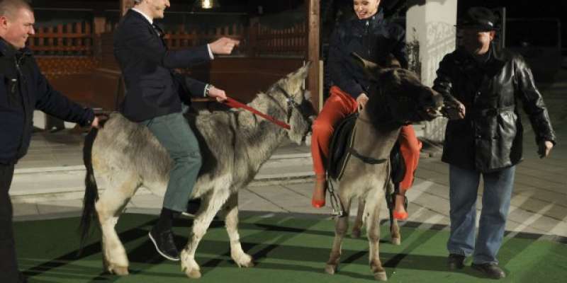 FOTO: Osla nista bila prav poslušna