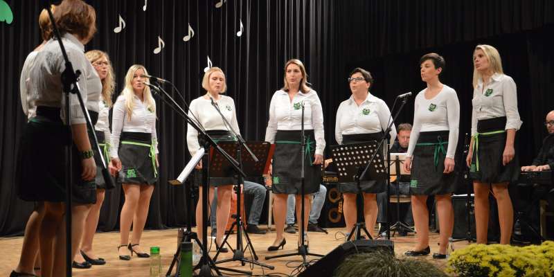 Prvi samostojni koncert Vokalne skupine Sovice