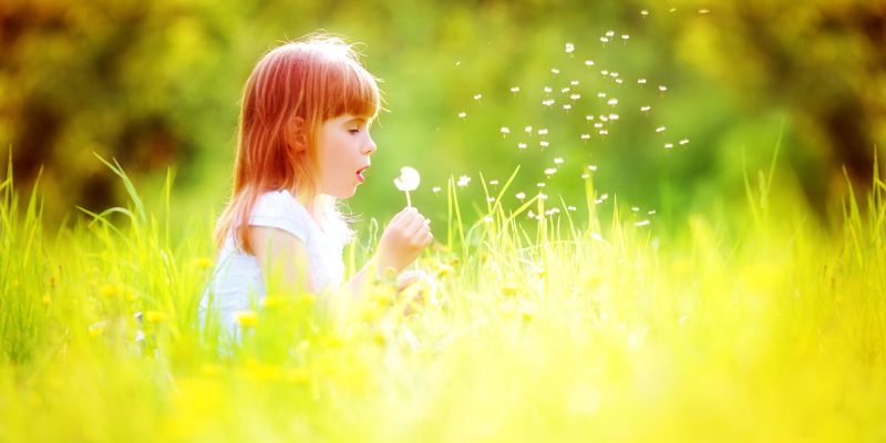 Pomlad, sončno, jasno, regrat, deklica, punčka, travnik