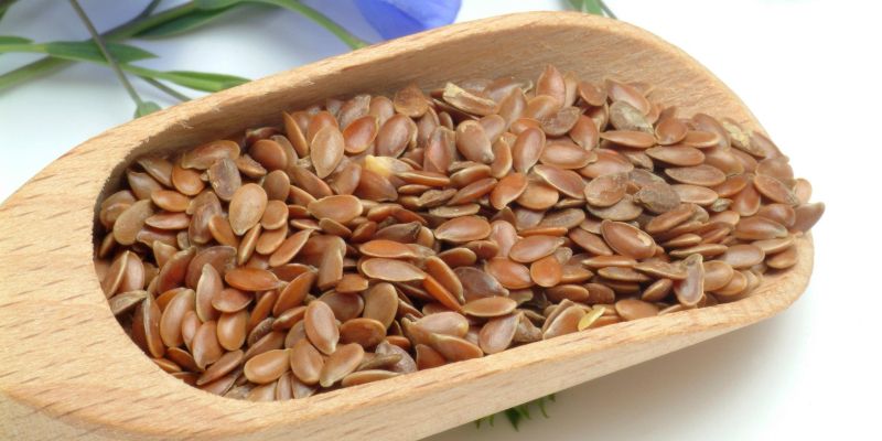 Lanena semena, ..jpg