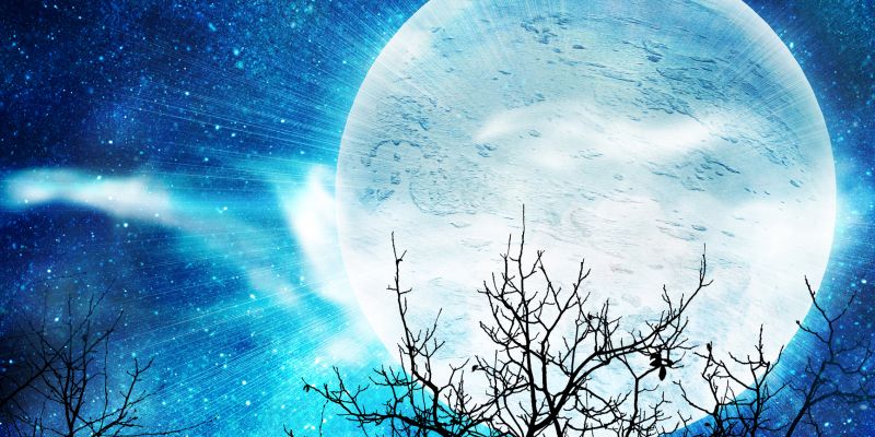 polna luna