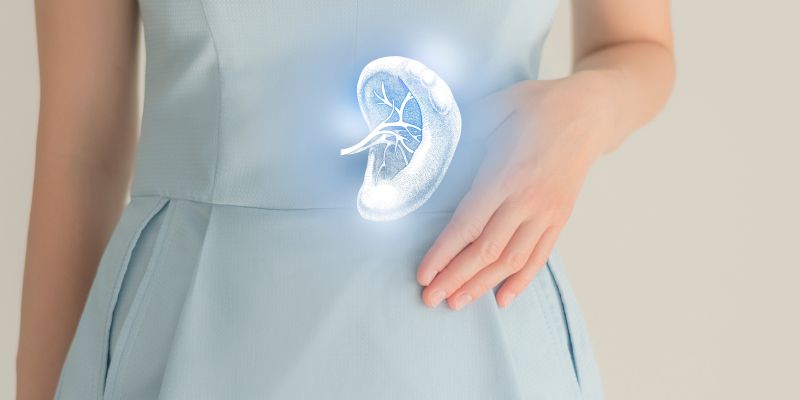 shutterstock_2038904357.jpg