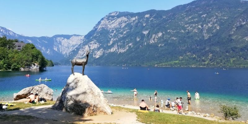 706956_175-bohinj.jpg