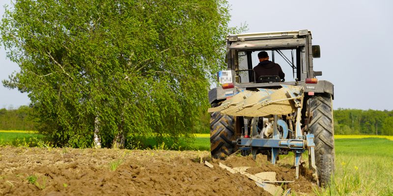 kmetijstvo, poljedeljstvo, njive, traktor, gnojenje