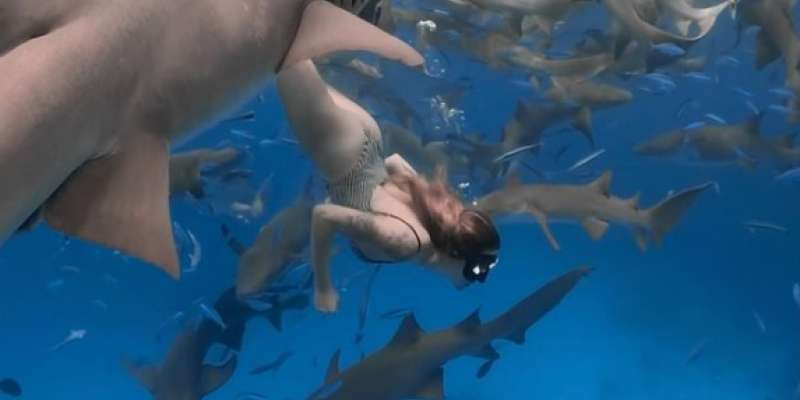 Noro in pogumno: Nika Zorjan je plavala z morskimi psi