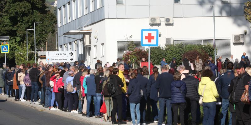 zd slovenska bistrica, zdravnica, vrsta.jpg