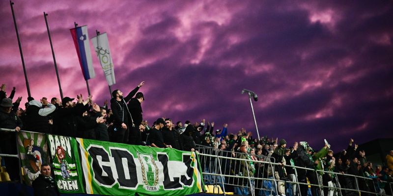 green dragons celje 24 mm.jpg