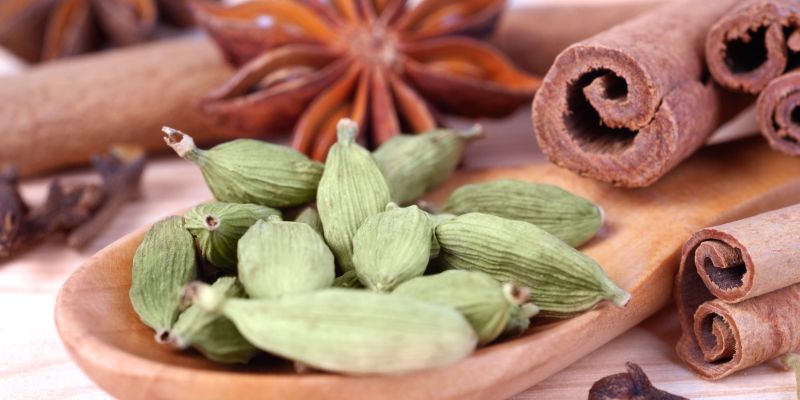 dišeči naslovna-dec24.jpg