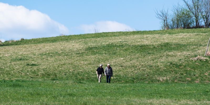 simbolična, pohodniki, sprehod, hoja-v-naravi, sprehajanja