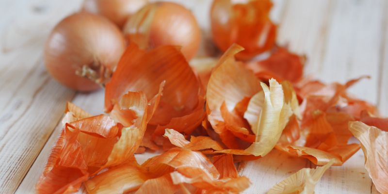 Čebulni olupki_Shutterstock.jpg