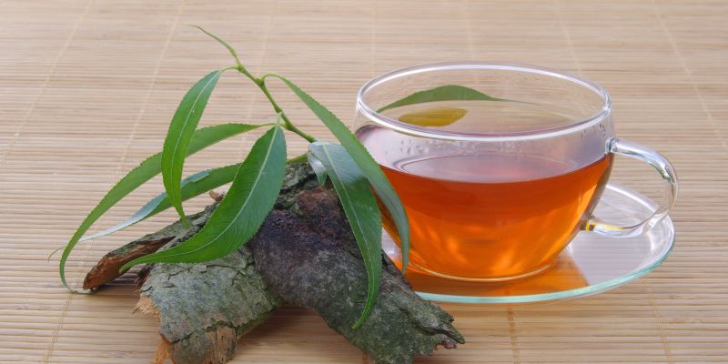 vrbovo lubje, čaj, poparek