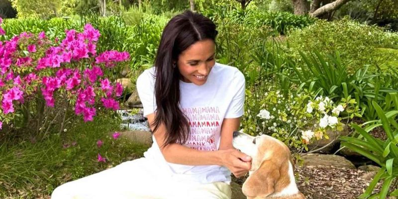 Meghan Markle, pes