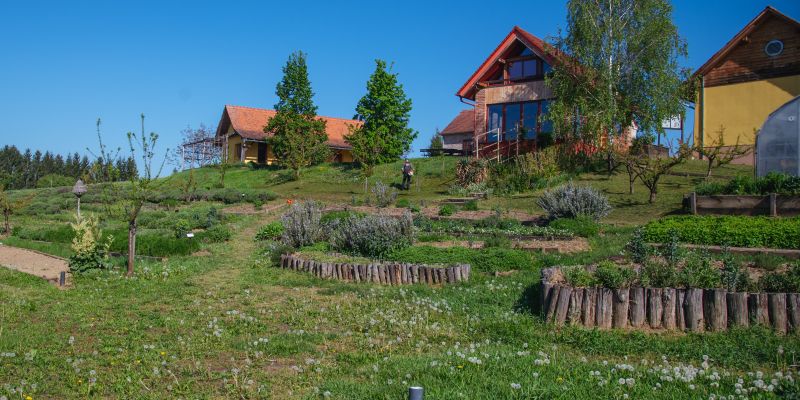 socialna-kmetija-korenika, šalovci, ekološka-kmetija