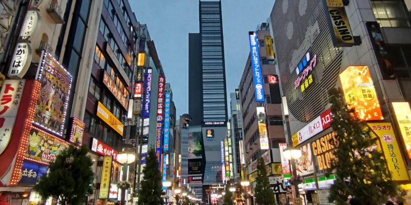 nika-grizila, japonska