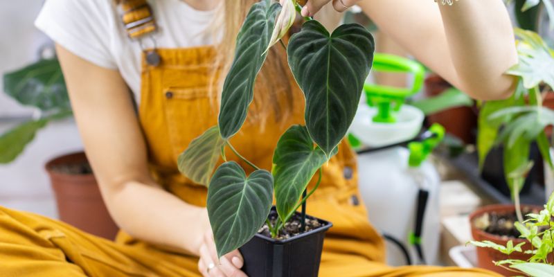 TM naslovna-dec21.jpg