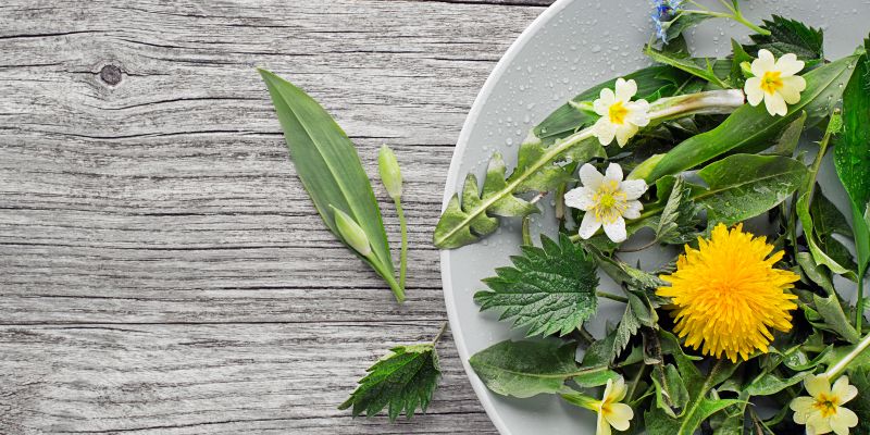 lekarna naslovna-maj23.jpg