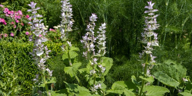 PPnaslovna-jun22.jpg
