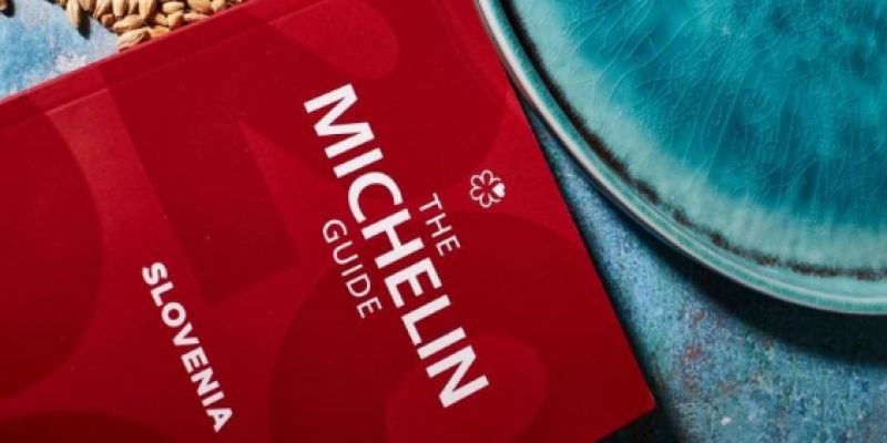 michelin vodnik