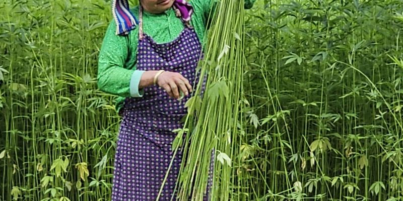 Svet12-jul23.jpg