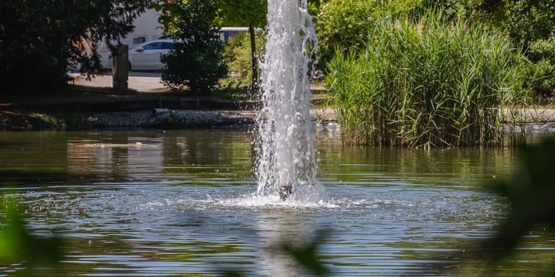 simbolična, poletje, park, vodomet, fontana, jezero