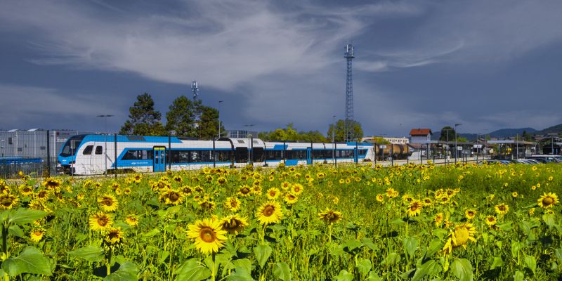 slovenske-zeleznice, sejemo-soncno-prihodnost