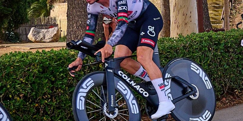 Joao almeida.jpg