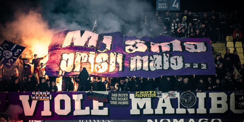 viole maribor