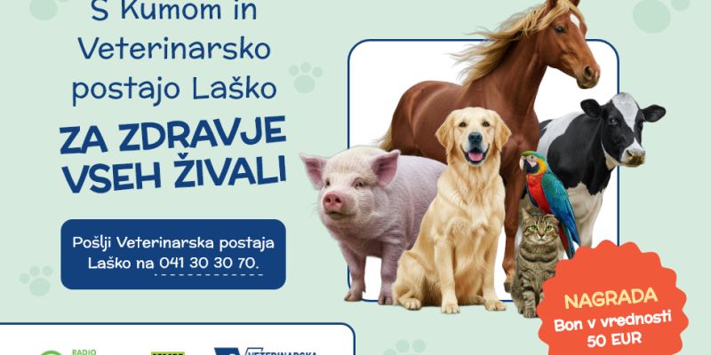 Veterinarska postaja Laško